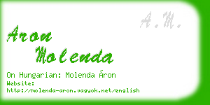 aron molenda business card